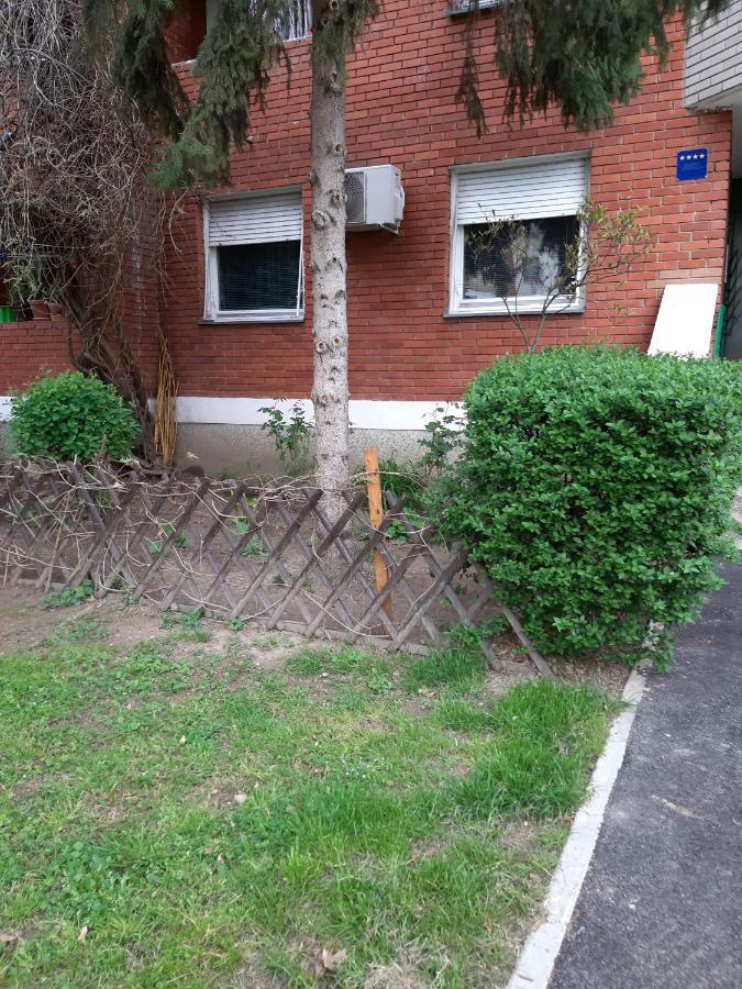 Marko Zagreb Ngoại thất bức ảnh